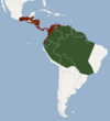 Aire de répartition du Sténoderme inca