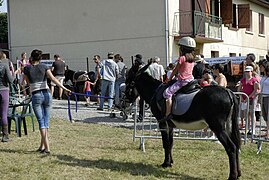 Promenades enfants, journée de l'âne.