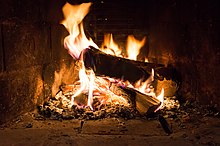 Wood as fuel for combustion Fire, Fireplace, Rostov-on-Don, Russia.jpg