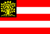 Флаг Хертогенбоша.png