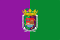 Bandera de Málaga en morado y verde