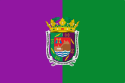 Flagget til Málaga