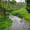 Le ruisseau de la vallée Verrier.