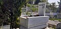 Hasan Saltık'ın Küçükyalı Mezarlığı'ndaki mezarı