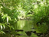 Hergstbach bei Ruchsen