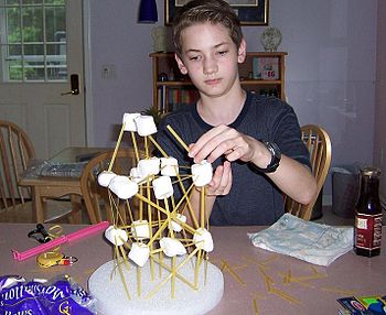 Homeschooler challenging The Leaning Tower of ...