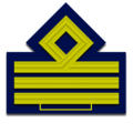 Distintivo per paramano di primo capitano dell'Aeronautica Militare Italiana