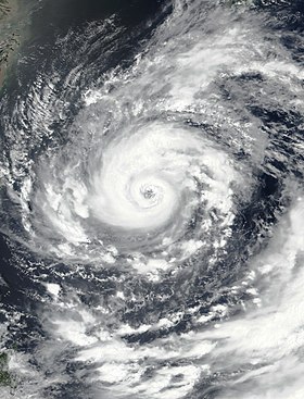 imagem ilustrativa de artigo Tufão In-fa
