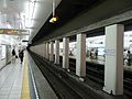 A view of the platforms, July 2008