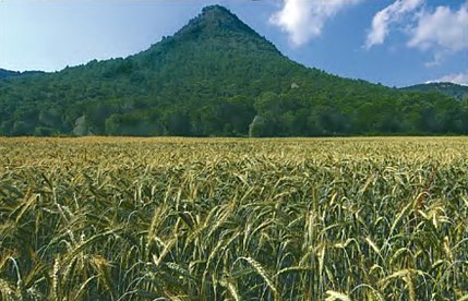 L'Espunyola (Berguedà), 1 de juliol de 2004