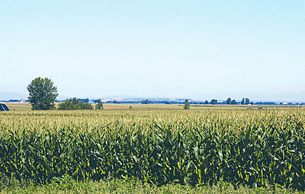 Comarca El Páramo (Lleó), 15 d'agost de 2004