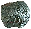 Der Meteorit von Krähenberg