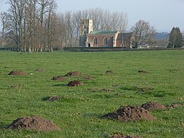 Molehills and St Matthew's