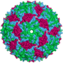 Miniatura para Bacteriófago MS2