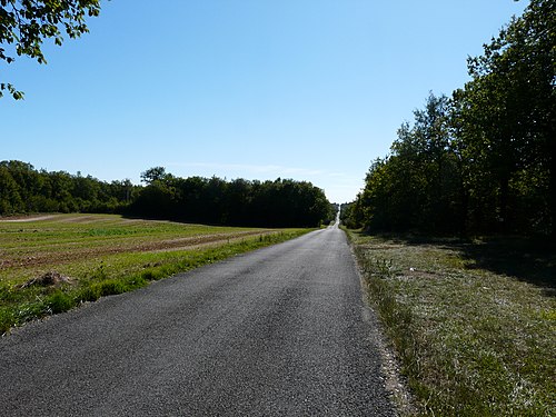 Die kerzengerade Route Napoléon südlich von Maisonneuve