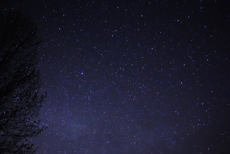 File:Night Sky Stars Trees 03.jpg