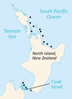 Rozšíření hatérie novozélandské. Čtverečky ukazují rozšíření vzácnější hatérie Guentherovy (Sphenodon guntheri).