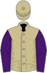 Beige, purple sleeves