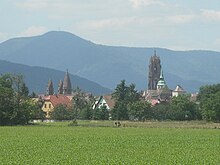 Photographie de Sélestat depuis le Ried.