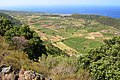 Piana di Ghirlanda, Pantelleria