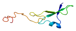 Protein NRG1 PDB 1hae.png
