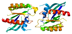 Белок RRAD PDB 2dpx.png