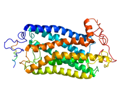 Белок TACR1 PDB 2KS9.png