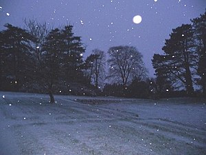 English: Snow falling in the early evening
