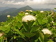 三本槍岳（福島県）