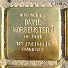 Stolperstein Fischerfeldstraße 16 David Morgenstern