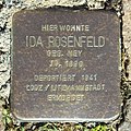 Stolperstein in Creglingen für Ida Rosenfeld (27. Juni 2019)