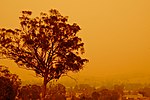 Miniatura para Incendios forestales de Australia