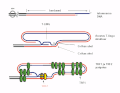 Pisipilt versioonist seisuga 2. oktoober 2012, kell 17:33