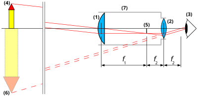 zeichnung von Cepheiden