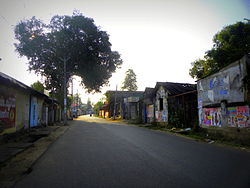 താമരക്കുളം, കൊല്ലം