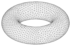 Torus: mit Verfolgungsalgorithmus trianguliert