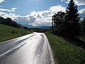 Between Sankt Margarethen and Oberdörfl, road panorama