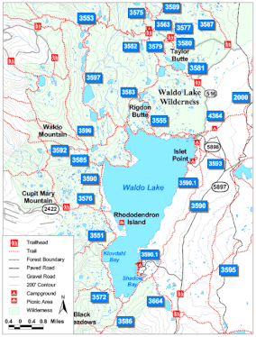 Waldo Lake map.gif