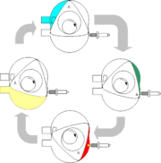Der Wankelzyklus: Einlass (blau), Kompression (grn), Zndung (rot), Auslass (gelb)