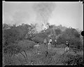 Пожар в парке, октябрь 1933 г.