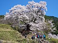 2017年2月20日 (月) 19:00時点における版のサムネイル