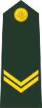 Знак отличия ИЛИ-4