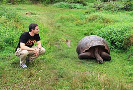 Dans les îles Galápagos.