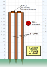 A wicket consists of three stumps that are hammered into the ground, and topped with two bails.