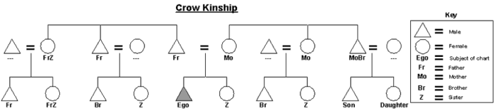 Grafika systému příbuznosti Crow