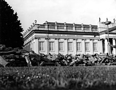 Joseph Beuys pflanzte 7000 Eichen mit jeweils einem begleitenden Basaltstein in Kassel.
