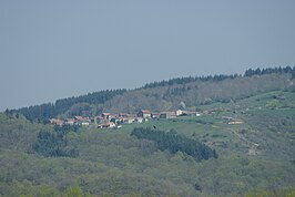 Esteil