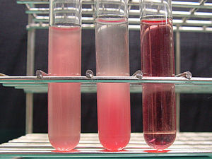 Hemolysis. (left: without hemolysis) red blood...