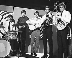 Herman's Hermits kolem roku 1965