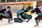 Miniatura para Gol (hockey sobre hielo)